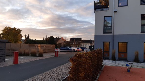 Baumpflanzen  (2)